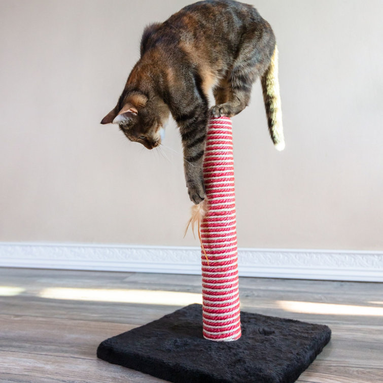 Tucker Murphy™ Pet Candy Cane Christmas Cat Scratcher Post Wayfair Canada